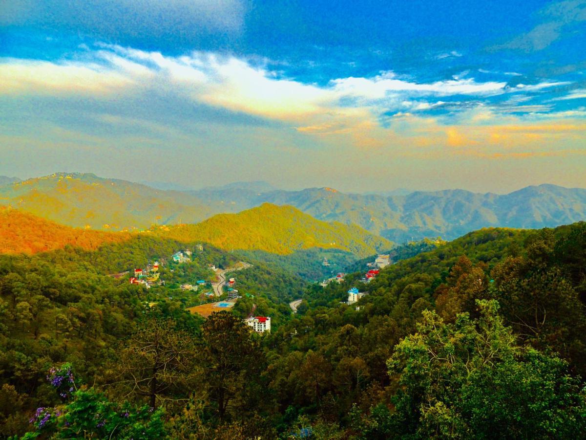Hotel Wood Stock Luxury - A Boutique Property - Penthouse - Open Air Restaurant & Terrace Kasauli Exterior foto